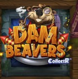 Dam Beavers